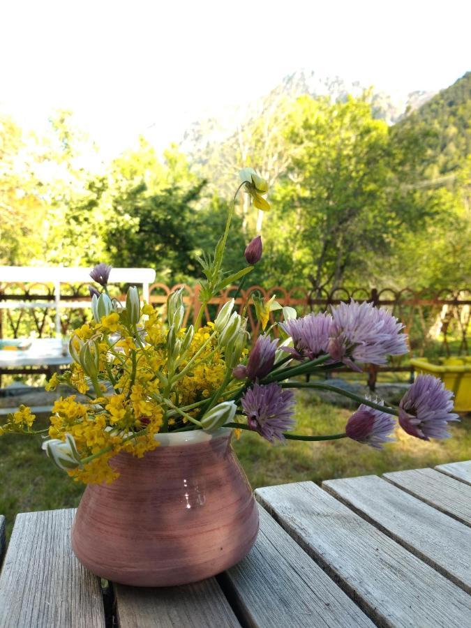 Chambre Ou Gite Dans Une Maison De Montagne - De Suzon A Zelie Entraigues  Eksteriør billede